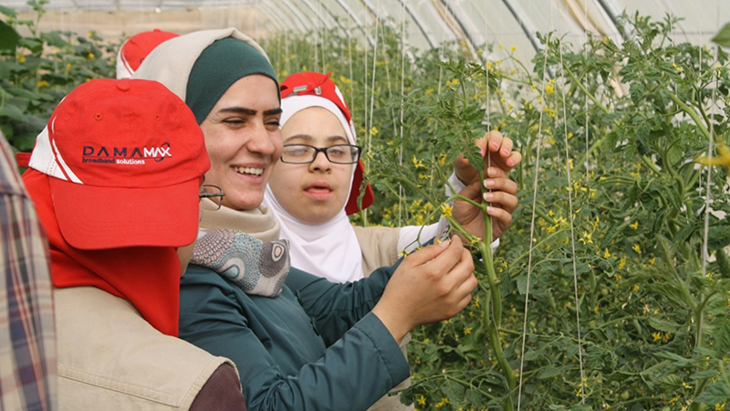 Development of Agicultural Project