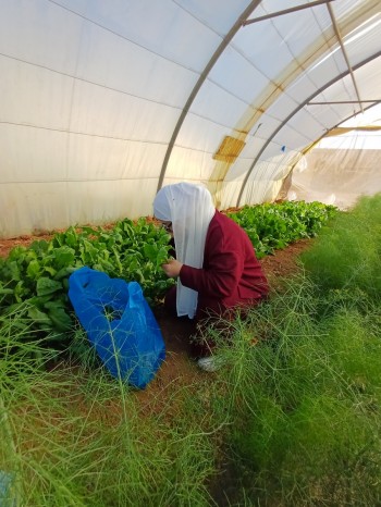 Agricultural laboratory
