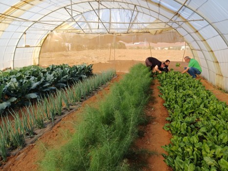 Agricultural laboratory