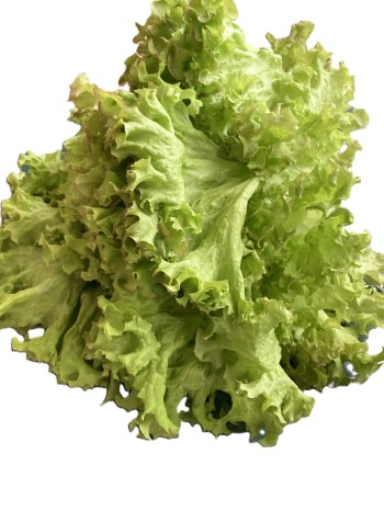 Agricultural Products