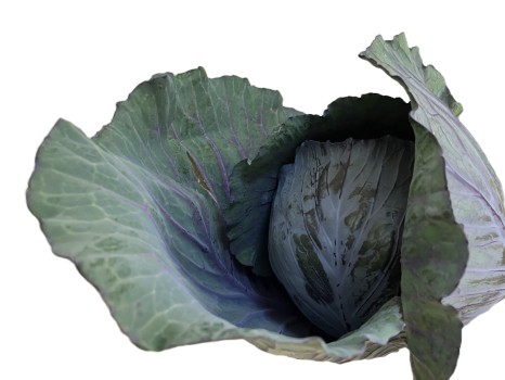 Agricultural Products