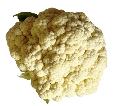 Agricultural Products