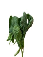 Agricultural Products