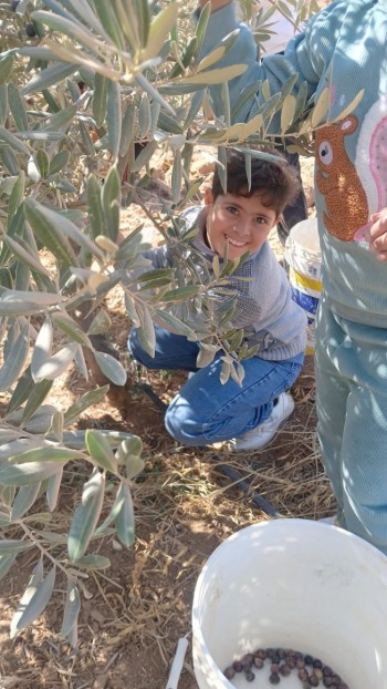 Agricultural laboratory